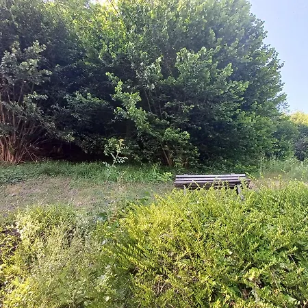 Hébergement de vacances Ganze Haus & Sonnenhang Selzthal