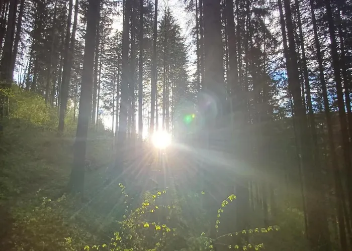 펜션 Gemuetliche, Familienfreundliche Unterkunft Fuer Bis Zu 7 Personen Mit Kostenlosem Parkplatz Und Ruhiger Lage Selzthal
