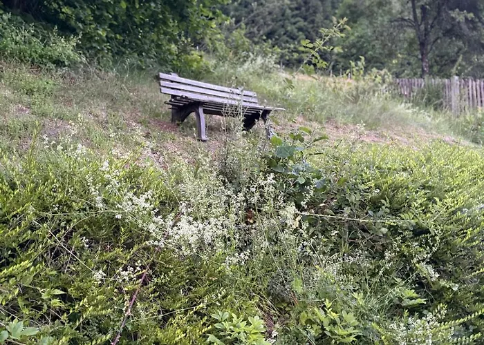 Familienfreundliche In Sonniger Lage Selzthal